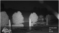 Archived image Webcam Ruhrquelle Winterberg Lower station 01:00