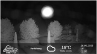 Archiv Foto Webcam Winterberg: Ruhrquelle Talstation 01:00