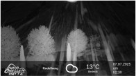 Archiv Foto Webcam Winterberg: Ruhrquelle Talstation 01:00