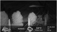 Archiv Foto Webcam Winterberg: Ruhrquelle Talstation 01:00