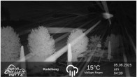 Archiv Foto Webcam Winterberg: Ruhrquelle Talstation 03:00