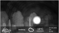 Archiv Foto Webcam Winterberg: Ruhrquelle Talstation 01:00
