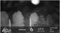Archived image Webcam Ruhrquelle Winterberg Lower station 01:00
