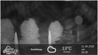 Archiv Foto Webcam Winterberg: Ruhrquelle Talstation 23:00