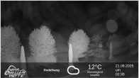 Archiv Foto Webcam Winterberg: Ruhrquelle Talstation 01:00