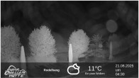 Archiv Foto Webcam Winterberg: Ruhrquelle Talstation 03:00