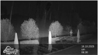 Archived image Webcam Ruhrquelle Winterberg Lower station 00:00