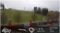 Archived image Webcam Ruhrquelle Winterberg Lower station 11:00