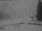 Archiv Foto Webcam Casa Vacanze La Rossa, Alpe Devero 11:00