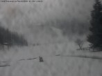 Archived image Webcam Casa Vacanze, Alpe Devero 11:00