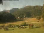 Archiv Foto Webcam Casa Vacanze La Rossa, Alpe Devero 08:00