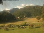 Archived image Webcam Casa Vacanze, Alpe Devero 08:00