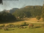 Archiv Foto Webcam Casa Vacanze La Rossa, Alpe Devero 08:00