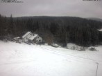 Archiv Foto Webcam Wirtshaus Bleaml Alm 09:00