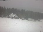 Archiv Foto Webcam Wirtshaus Bleaml Alm 11:00