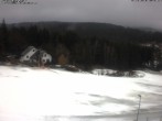 Archiv Foto Webcam Wirtshaus Bleaml Alm 11:00