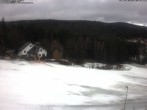 Archiv Foto Webcam Wirtshaus Bleaml Alm 13:00