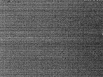 Archived image Webcam &#34;Bleaml Alm&#34; Restaurant 03:00