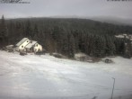 Archiv Foto Webcam Wirtshaus Bleaml Alm 11:00
