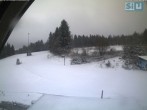 Archiv Foto Webcam Skirollerbahn an der Bleaml Alm 07:00