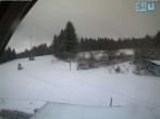 Archiv Foto Webcam Skirollerbahn an der Bleaml Alm 09:00