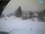 Archiv Foto Webcam Skirollerbahn an der Bleaml Alm 11:00