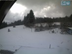 Archiv Foto Webcam Skirollerbahn an der Bleaml Alm 13:00