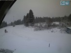 Archiv Foto Webcam Skirollerbahn an der Bleaml Alm 07:00