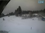 Archiv Foto Webcam Skirollerbahn an der Bleaml Alm 09:00