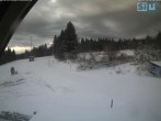 Archiv Foto Webcam Skirollerbahn an der Bleaml Alm 07:00