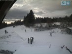 Archiv Foto Webcam Skirollerbahn an der Bleaml Alm 09:00