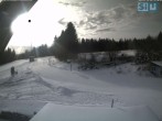 Archiv Foto Webcam Skirollerbahn an der Bleaml Alm 11:00