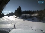 Archiv Foto Webcam Skirollerbahn an der Bleaml Alm 11:00