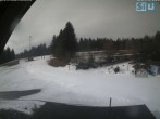 Archiv Foto Webcam Skirollerbahn an der Bleaml Alm 09:00