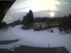 Archiv Foto Webcam Skirollerbahn an der Bleaml Alm 15:00