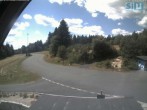 Archiv Foto Webcam Skirollerbahn an der Bleaml Alm 11:00