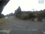 Archiv Foto Webcam Skirollerbahn an der Bleaml Alm 11:00