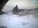 Archiv Foto Webcam Skirollerbahn an der Bleaml Alm 06:00