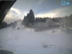 Archiv Foto Webcam Skirollerbahn an der Bleaml Alm 07:00