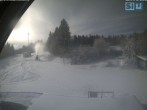 Archiv Foto Webcam Skirollerbahn an der Bleaml Alm 09:00