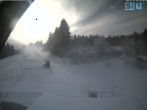Archiv Foto Webcam Skirollerbahn an der Bleaml Alm 11:00