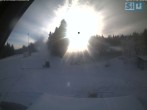 Archiv Foto Webcam Skirollerbahn an der Bleaml Alm 13:00