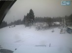 Archived image Webcam &#34;Bleaml Alm&#34; Ski scooter 09:00