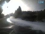 Archiv Foto Webcam Skirollerbahn an der Bleaml Alm 11:00