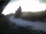 Archiv Foto Webcam Skirollerbahn an der Bleaml Alm 15:00