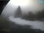 Archiv Foto Webcam Skirollerbahn an der Bleaml Alm 11:00