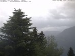 Archiv Foto Webcam Chalet Sybil (1360m), Leysin 05:00