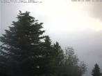 Archiv Foto Webcam Chalet Sybil (1360m), Leysin 05:00