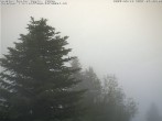 Archiv Foto Webcam Chalet Sybil (1360m), Leysin 06:00