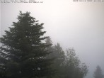 Archiv Foto Webcam Chalet Sybil (1360m), Leysin 07:00